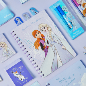 Disney Frozen 2 Diary